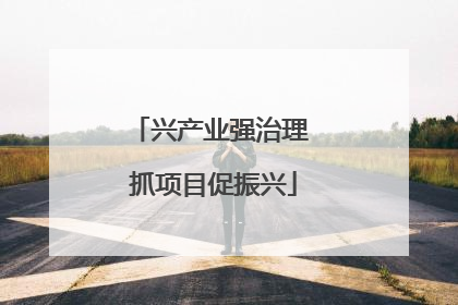 兴产业强治理 抓项目促振兴
