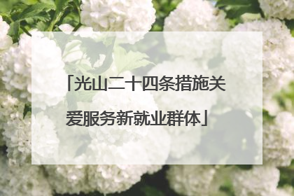光山二十四条措施关爱服务新就业群体