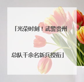 光荣时刻！武警贵州总队千余名新兵授衔
