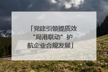 党建引领提质效 “局港联动”护航企业合规发展