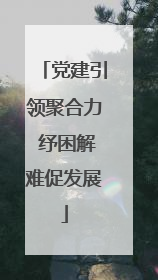 党建引领聚合力 纾困解难促发展