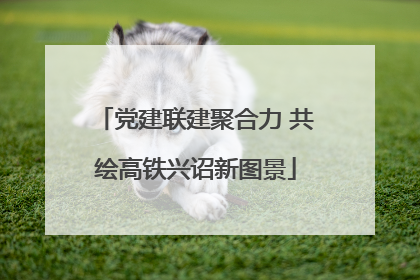 党建联建聚合力 共绘高铁兴诏新图景
