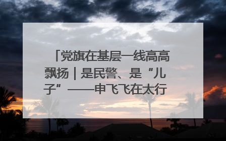 党旗在基层一线高高飘扬｜是民警、是“儿子”——申飞飞在太行山中的一线坚守