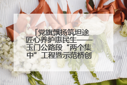 党旗飘扬筑坦途 匠心养护惠民生——玉门公路段“两个集中”工程暨示范桥创建项目圆满收官