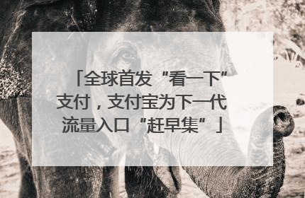 全球首发“看一下”支付，支付宝为下一代流量入口“赶早集”