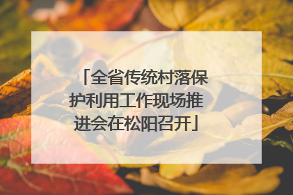 全省传统村落保护利用工作现场推进会在松阳召开