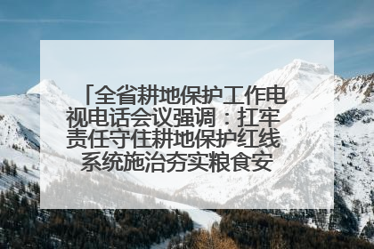全省耕地保护工作电视电话会议强调：扛牢责任守住耕地保护红线 系统施治夯实粮食安全根基 王宁作出批示 王予波出席并讲话