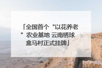 全国首个“以花养老”农业基地 云南绣球盒马村正式挂牌