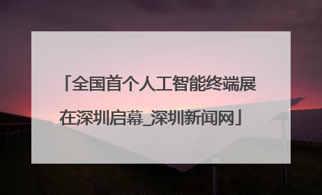 全国首个人工智能终端展在深圳启幕_深圳新闻网