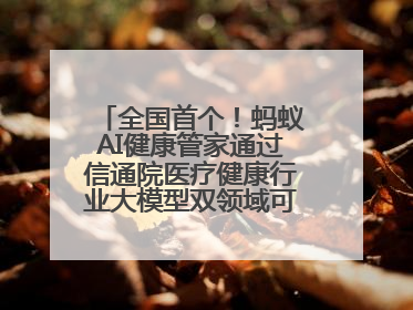 全国首个！蚂蚁AI健康管家通过信通院医疗健康行业大模型双领域可信评估