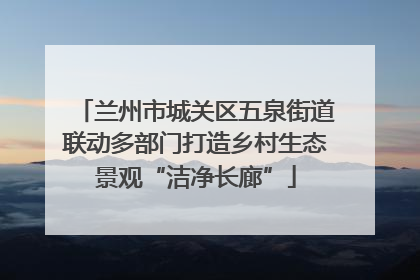 兰州市城关区五泉街道联动多部门打造乡村生态景观“洁净长廊”