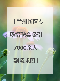 兰州新区专场招聘会吸引7000余人到场求职
