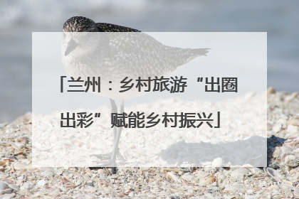 兰州：乡村旅游“出圈出彩”赋能乡村振兴