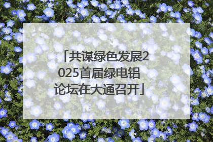 共谋绿色发展2025首届绿电铝论坛在大通召开