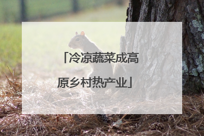 冷凉蔬菜成高原乡村热产业