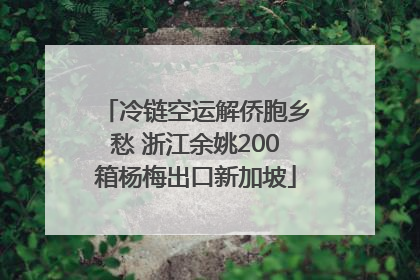 冷链空运解侨胞乡愁 浙江余姚200箱杨梅出口新加坡
