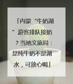 内蒙“牛奶湖”游客排队接奶？当地文旅局：是纯牛奶不是湖水，可放心喝