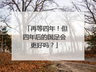 再等四年！但四年后的国足会更好吗？