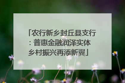 农行新乡封丘县支行：普惠金融润泽实体 乡村振兴再添新翼