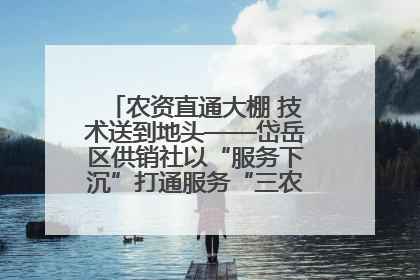 农资直通大棚 技术送到地头——岱岳区供销社以“服务下沉”打通服务“三农”最后一公里