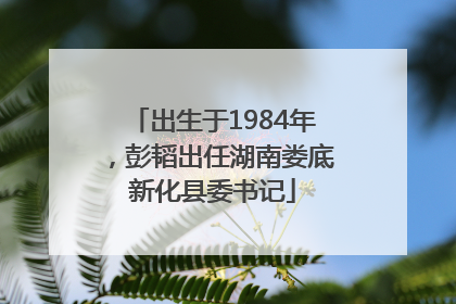 出生于1984年，彭韬出任湖南娄底新化县委书记