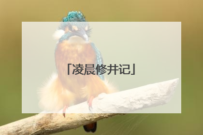 凌晨修井记