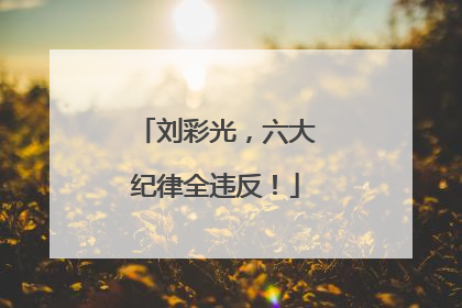 刘彩光，六大纪律全违反！