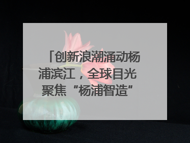 创新浪潮涌动杨浦滨江，全球目光聚焦“杨浦智造”｜相约复兴岛