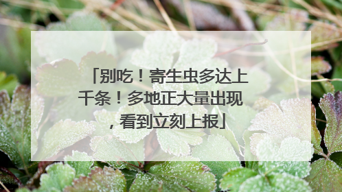 别吃！寄生虫多达上千条！多地正大量出现，看到立刻上报