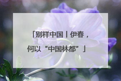 别样中国丨伊春，何以“中国林都”