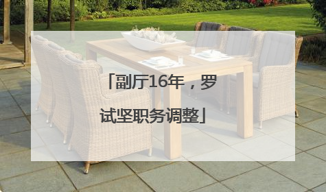 副厅16年，罗试坚职务调整