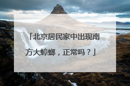 北京居民家中出现南方大蟑螂，正常吗？