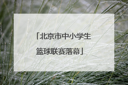 北京市中小学生篮球联赛落幕