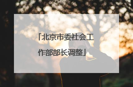 北京市委社会工作部部长调整