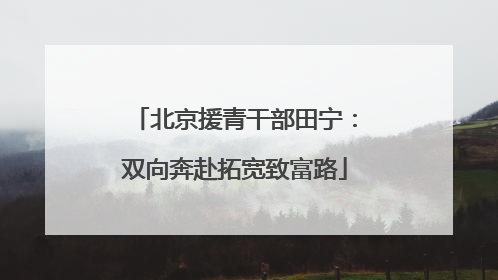 北京援青干部田宁：双向奔赴拓宽致富路