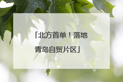 北方首单！落地青岛自贸片区