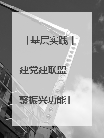 基层实践丨建党建联盟 聚振兴功能
