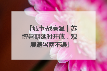 城事·战高温｜苏博暑期延时开放，观展避暑两不误