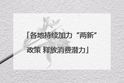 各地持续加力“两新”政策 释放消费潜力