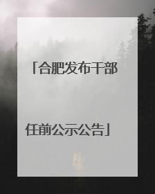 合肥发布干部任前公示公告