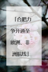 合肥力争开通至欧洲、非洲航线