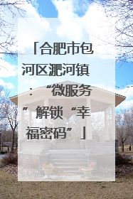 合肥市包河区淝河镇：“微服务”解锁“幸福密码”