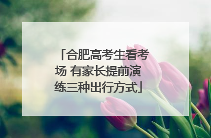 合肥高考生看考场 有家长提前演练三种出行方式