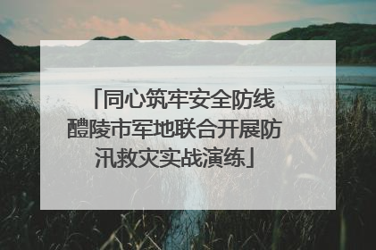 同心筑牢安全防线 醴陵市军地联合开展防汛救灾实战演练