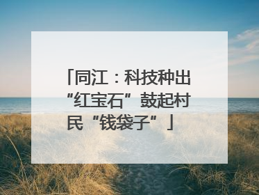 同江：科技种出“红宝石”鼓起村民“钱袋子”