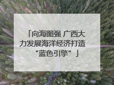 向海图强 广西大力发展海洋经济打造“蓝色引擎”