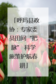 呼玛县政协：专家委员田间“把脉” 科学施策护航春耕