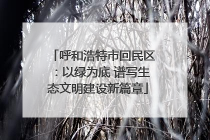 呼和浩特市回民区：以绿为底 谱写生态文明建设新篇章