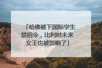 哈佛被下国际学生禁招令，比利时未来女王也被影响了