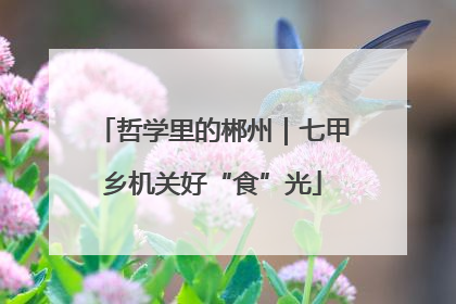 哲学里的郴州｜七甲乡机关好“食”光
